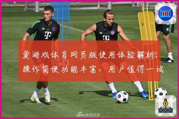 爱游戏体育网页版使用体验解析：操作简便功能丰富，用户值得一试