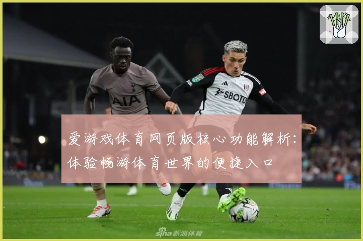 爱游戏体育网页版核心功能解析：体验畅游体育世界的便捷入口